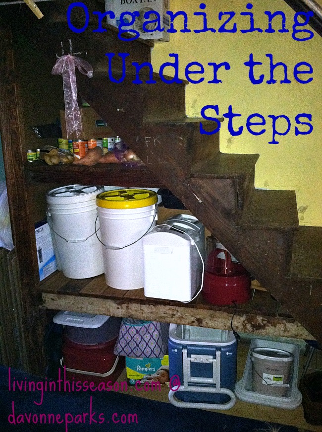 Under-the-Stairs