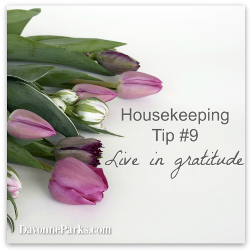 Housekeeping Tip #9: Live in Gratitude